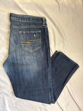 Arizona Jean Company Skinny Jeans in Blue with Contrast Stitching